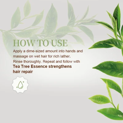 Shampoo 500ml Anti Hair Loss Hair Care and Treatment [Hot Brand]