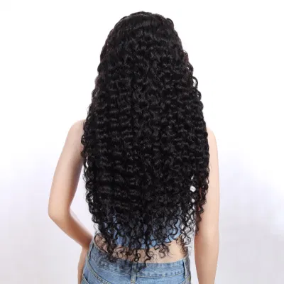 Xuchang Longguan High Quality Factory Wholesale Brazilian Human Hair Natural Water Wave 13X4 Transparent HD Lace Front Wigs