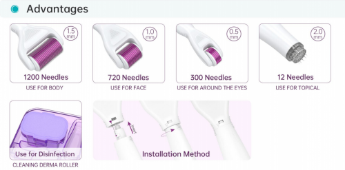 Derma Roller In Stock Microneedle Derma Roller 5IN1 derma roller skin