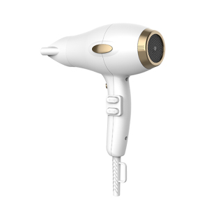1800-2200W Professional Negative Ionic Compact AC Hair Blow Dryer