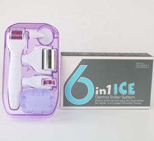 2019 Wrinkle Remover Feature 6 in 1 Microneedle Derma Rolling System with ice roller