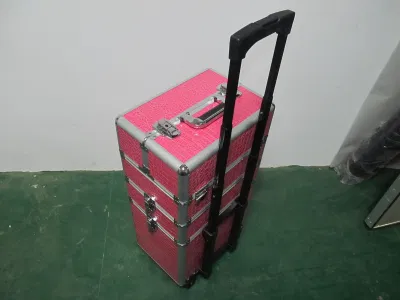 Big Colorful Aluminium Cosmetic Case for Makeup with Trays