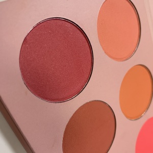 Blush palette high pigment blush palette private label makeup blush palette