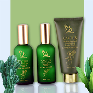 Cactus Moistening and Revitalizing  Skin Care Set GMP Factory OEM Cosmetics Refreshing Hydrating Skin Moisturizer Skin Care