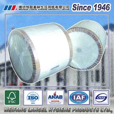 China Materials for Making Tissue Paper Roll Jumbo Roll Toilet/Facial Paper Tissue