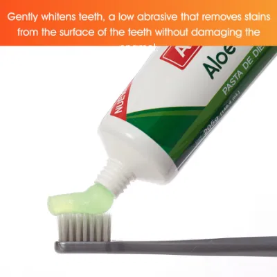 Free Sample Custom Logo Oral Care Adult Natural Aloe Vera Toothpaste for Teeth Whitening Fresh Breath