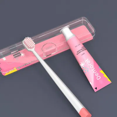 OEM Hotel Travel Plastic Box Adult Reusable Toothbrush Toothpaste Kit Set