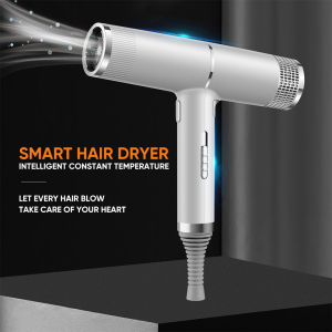 Professional Anion Hair Dryer Negative Ion Quick Dry Home Powerful Electric Hair Dryer