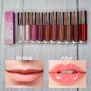 Wholesale Price Custom Lip Gloss With Brush Applicator Lip Plumper Gloss