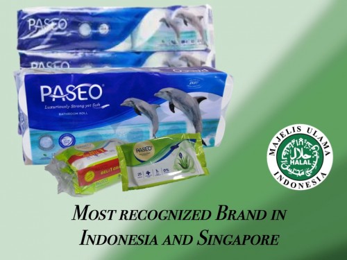 PASEO Anti bacterial Cleansing Wipes