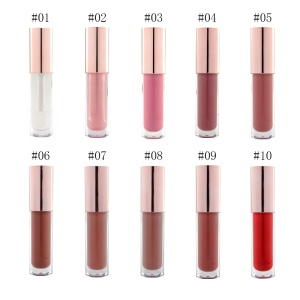 10 Color Private Label Vegan Lip Gloss Lip Plumper