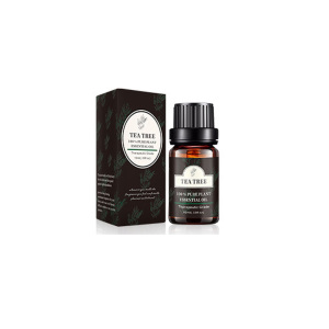 10ml eucalyptus oil organic Essential Oils Grade Fragrance skin massage essential oil bottle