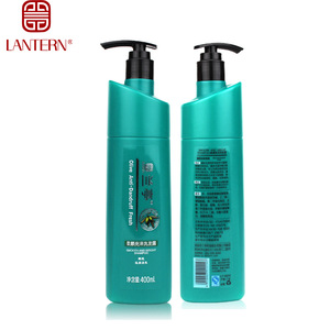 Hot selling Private label Shampoo Argan Oil Anti-dandruff Shampoo