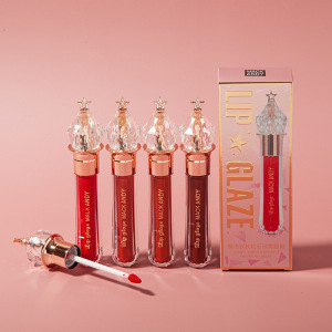 luxury lip gloss  fruit flavor lip gloss  shinny lip gloss