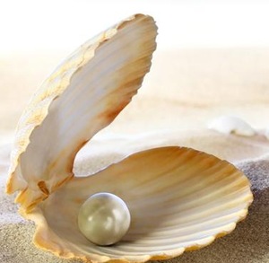 Natural pure pearl powder price