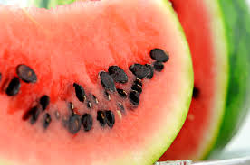 Watermelon seed carrier oil