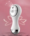 Hydration  beauty instrument / Hot compress functions beauty instrument / Beauty instrument that combines hydration and hot compress functions at the same time