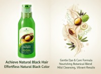Customizable High 3-in-1 Argan Oil Hair Dye Shampoo Ammonia-Free Home Use Natural Formula Long-lasting Color Oliver Oil Extract