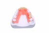 Valplast partial