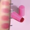 Custom Logo Long lasting High Pigment Blush