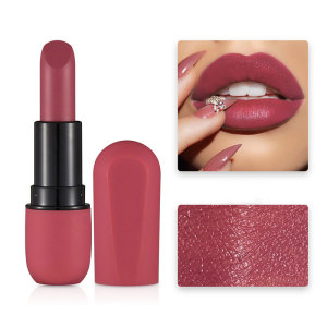 2020 new Nude Bullet Head Lipstick Matte lip stick