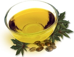 best processor of natural jojoba seed oil