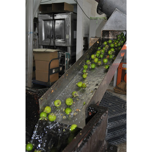 Hot Selling Brands Mouth Wash Mouthwash For Sale