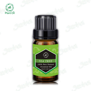 Organic Pharmaceutical Grade Pure Tea Tree Oil Bulk Tea Tree Essential Oil