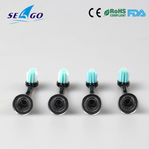 Toothbrush Head with High Quality Dupont Bristle for Electric Toothbrush