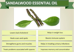 Top Quality and Favorable Price Pure and Natural Edible Sandalwood Essential Oils
