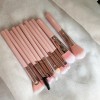Pink 20-Piece Makeup Brush Set with Portable Travel Case & Powder Puffs