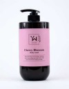 Premium Korean Perfumed Body Wash - Cherry Blossom | Gentle Touch with Floral Scent
