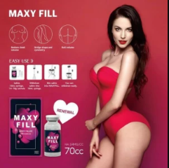 Maxy Fill Body Filler (70cc)
