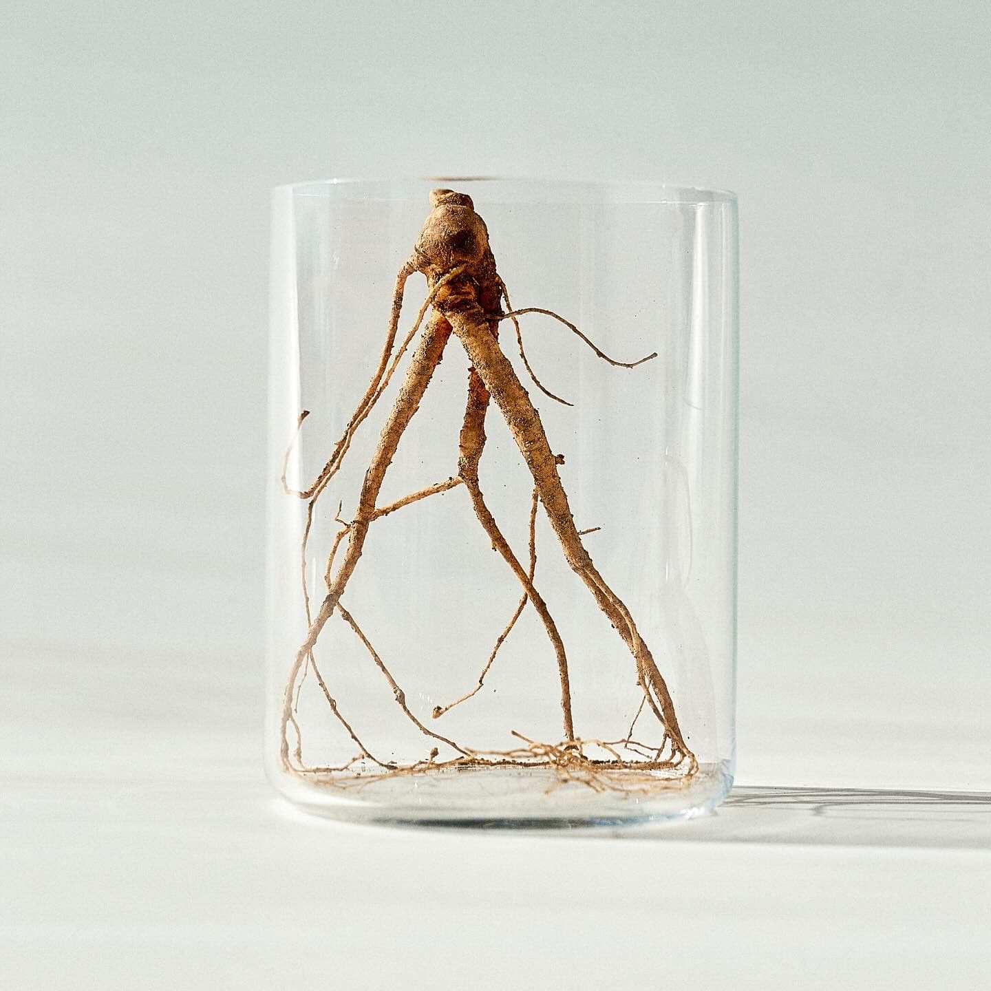 bfou Ginseng Seed &amp; PDRN Milk Mist - Premium Korean Facial Mist Skin Care