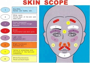 boxy factory skin scope, F-102 Skin Analyzer,face scanner