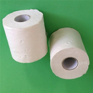 Cheapest sanitary tissue paper and toilet roll 10x9cm