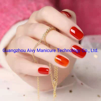 New Product Jelly Nail Gel Polish Good Quality Gel Polish