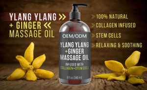 OEM Ylang Ylang & Ginger Massage Oil Infused with Collagen and Stem Cell,Relaxation Sore Muscle Body Lotion with Essential Oils