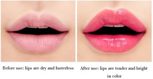 Organic Lipstick Makeup Beauty Factory Wholesale  Moisturizing Waterproof Lipstick