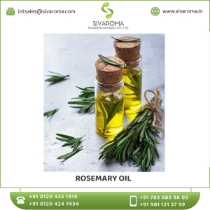 Superlative Quality  RoseMary Essential Oil in Bulk