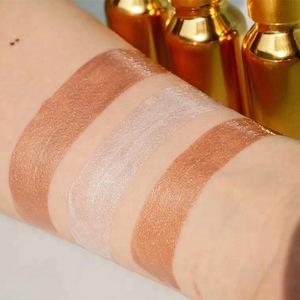 Waterproof Long Lasting Liquid Foundation Cream Concealer Makeup