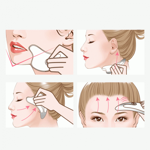 Personal Skin Care Massager Facial Lifting Therapy Device Dolphin Shape 360° Guasha Massage Tool