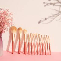 Sunny 12PCS Brush Set