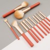 Sunny 12PCS Brush Set