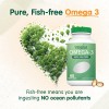 Vegan OMEGA 3 fish oil softgels OEM/ODM contract manufacturer in bulk with private label Shandong Qingbaotang