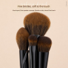 Custom Logo OEM 5Pcs Black Handle Makeup Brush Set with Bent Angled Eyeliner Brush Ultra Soft Powder Blush Beauty Tools Manufacturer
