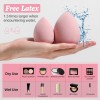 Wholesale Premium Makeup Sponge Set in Jar - Flawless Blending for Foundation & Powder