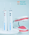 aqueous ozone with sterlized water oral irrigator
