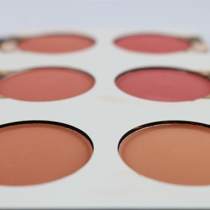 2018 Face Make Up private label blush 6 colors matt cardboard blusher palette