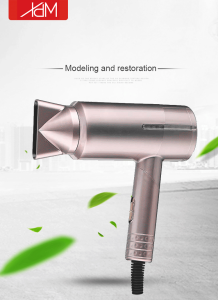 2021 New Design Household Personal Beauty Care Negative Ion Hair Dryer Blow Dryer Hair Dryer